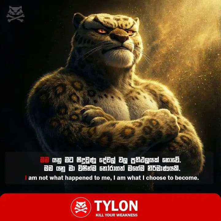 ඔයා කියන්නේ අහම්බයක් නෙවෙයි, තෝරාගැනීමක්.